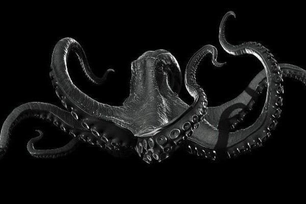 Kraken kraken dark link