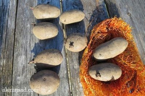 Ссылки на рамп телега