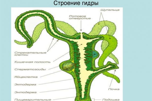 Что продают на кракене