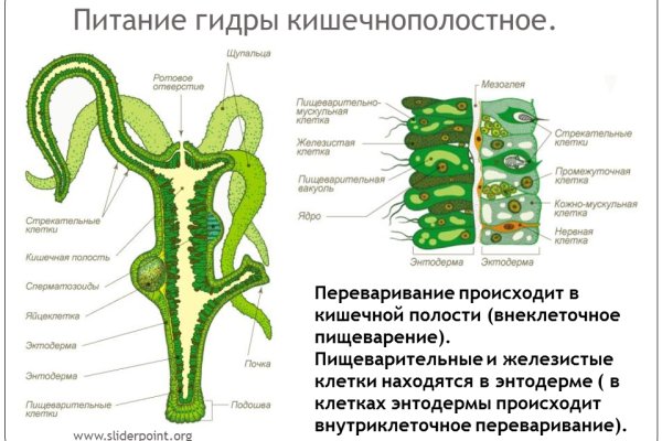 Кракен ссылка тор kr2web in